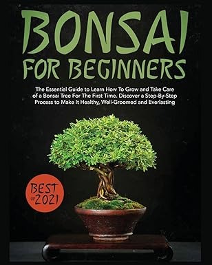 Amazon Direct Publication 